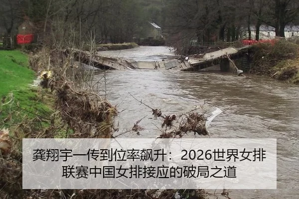 龚翔宇一传到位率飙升：2026世界女排联赛中国女排接应的破局之道